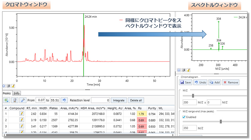 MSの表示